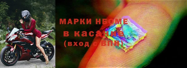 стаф Новозыбков