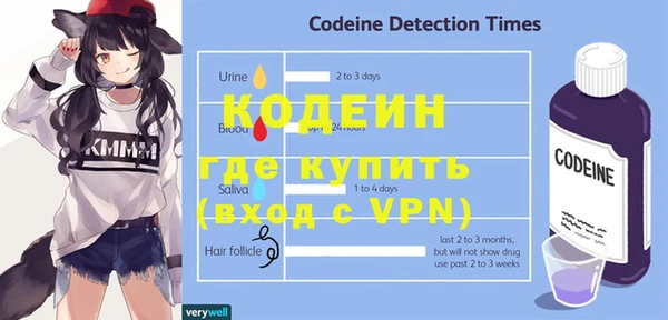стаф Новозыбков