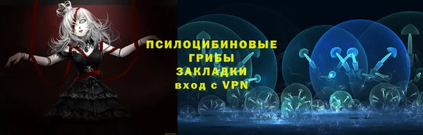 герыч Няндома