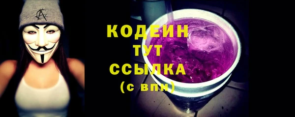 стаф Новозыбков