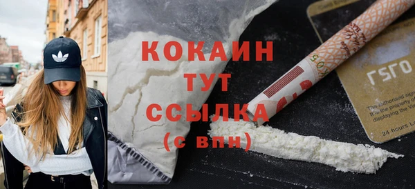 стаф Новозыбков