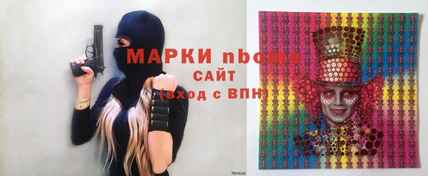 стаф Новозыбков