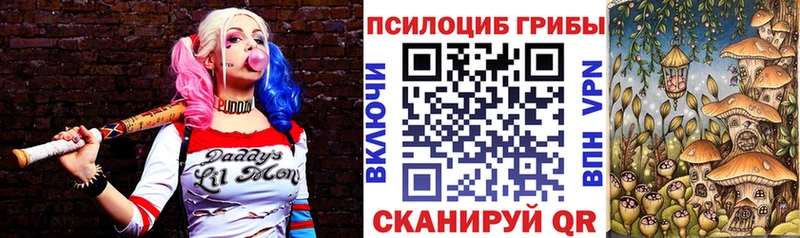 Псилоцибиновые грибы мицелий  хочу   блэк спрут зеркало  Заинск 