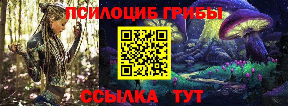 Галлюциногенные грибы Psilocybine cubensis  Вход с VPN  магазин  наркотиков  Заинск 
