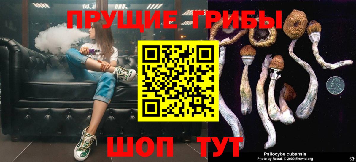 Псилоцибиновые грибы Cubensis Заинск